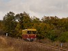 The Nagybrzsnyi Erdei Vast 8444 001-5 seen between Fsts forrs and Mrianosztra