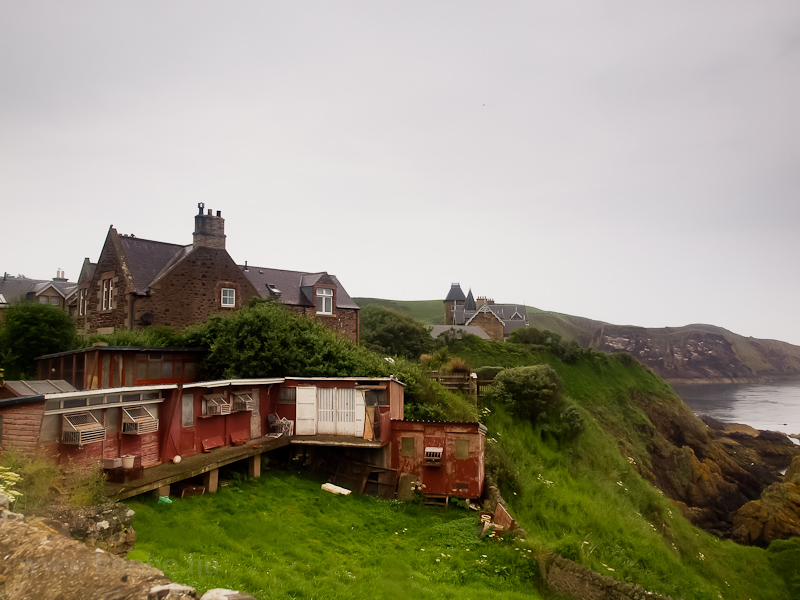 St Abbs picture