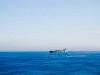 Utazás a Princess Seaways kompon Newcastle upon Tyne felé