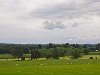 Sheep by Floors Castle, Kelso