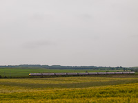 An East Coast IC225 trainset seen near Belford on the East Coast Main Line