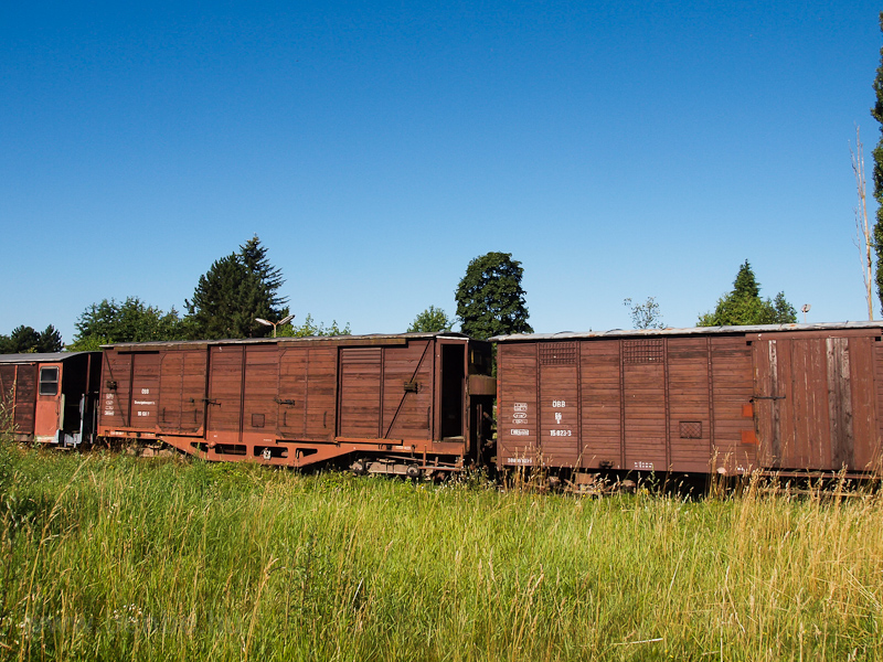 Freight cars photo