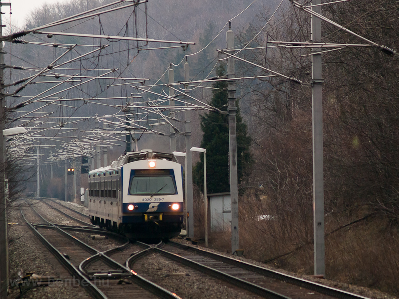 The BB 4020 289-7 seen bet photo