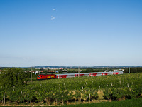 A GYSEV 1116 seen hauling a push-pull train between Wulkaprodersdorf and Mllendorf