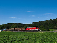 The BB 2143 056-6 seen between Sautern-Schiltern and Pitten