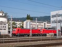 kép