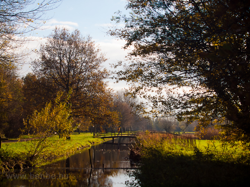 The Rijnpark at Leiden picture