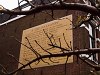 Charles Baudelaire: Á une passante