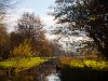 The Rijnpark at Leiden