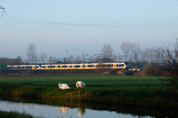 A 4+6 part coupled NS Sprinter LightTrain trainset between Voorschoten and De Vink