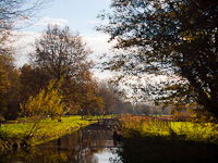 The Rijnpark at Leiden