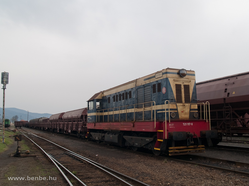 A721 117-0 Füleken fotó