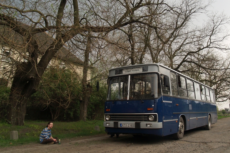 Ex budapesti, botvlts VT-Transman busz Srbogrdon fot