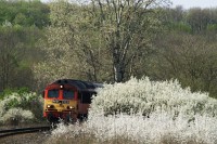 M41 2122 Vokányban
