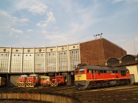 kép