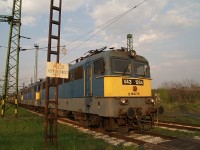 kép