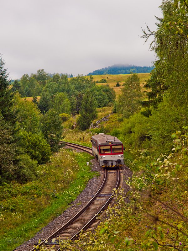 A ŽSSK 813 012-6 Nndorvlgy s Vereskő kztt fot