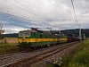 The ŽSSK 131 056-4 seen between Ganovce and Poprad-Tatry