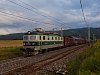 The ŽSSKC 183 019-9 seen between Ganovce and Poprad-Tatry