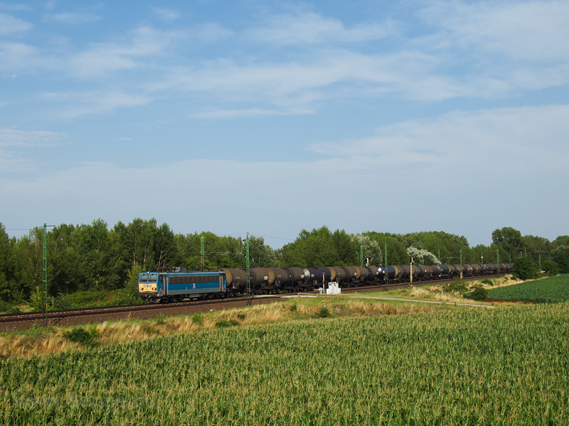 The V63 031 seen between Szőny and Komrom photo
