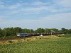 A V63 031 Szőny és Komárom között