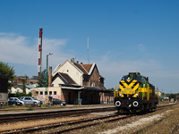 kép