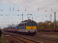 kép