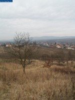 kép