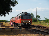 kép