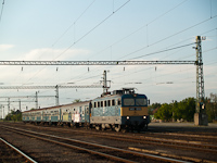 kép