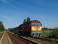 kép