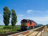 kép