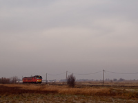 kép