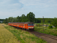 kép