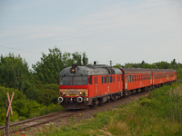 kép