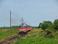 kép