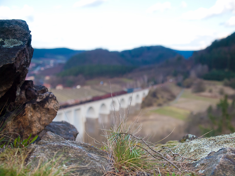 A freight train on the viad photo