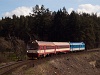 A ČD 80-29 216-6 Kralice nad Oslou és Rapotice között