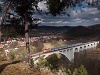 An unidentified ČD 242 seen between Tišnov and Doln Loučky on the viaduct