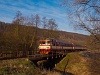 The ČD 854 223-5 seen between Tetčice and Omice