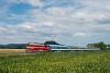 A MÁV-START M62 194 Nemesgulács-Kisapáti és Tapolca között
