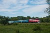 A MÁV Nosztalgia kft. M61 020 Nemesgulács-Kisapáti és Badacsonytördemic-Szigliget között