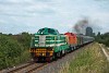 A MÁV Nosztalgia kft. M40,219 és a  MÁV-START M40 224 Balatonakali-Dörgicse és Zánkafürdő között