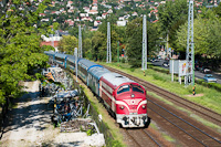 The MV-Nosztalgia kft. M61 001 seen at Balatonalmdi