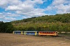 A MÁV Zrt. 117 310 Berkenye és Szokolya között