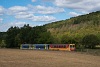A MÁV Zrt. 117 310 Berkenye és Szokolya között