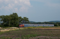 kép