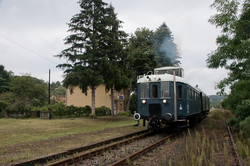 The MÁV-Rail Tours BCmot 390 seen at Magyarszék photo