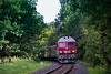 A MÁV-START M41 2112 Badacsonylábdihegy és Badacsonytördemic-Szigliget között