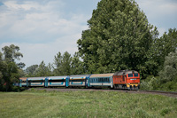 kép